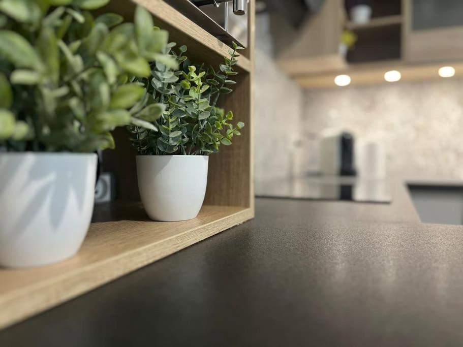 Appartement T2 Vue Panoramique Sur Annecy Seynod Kültér fotó
