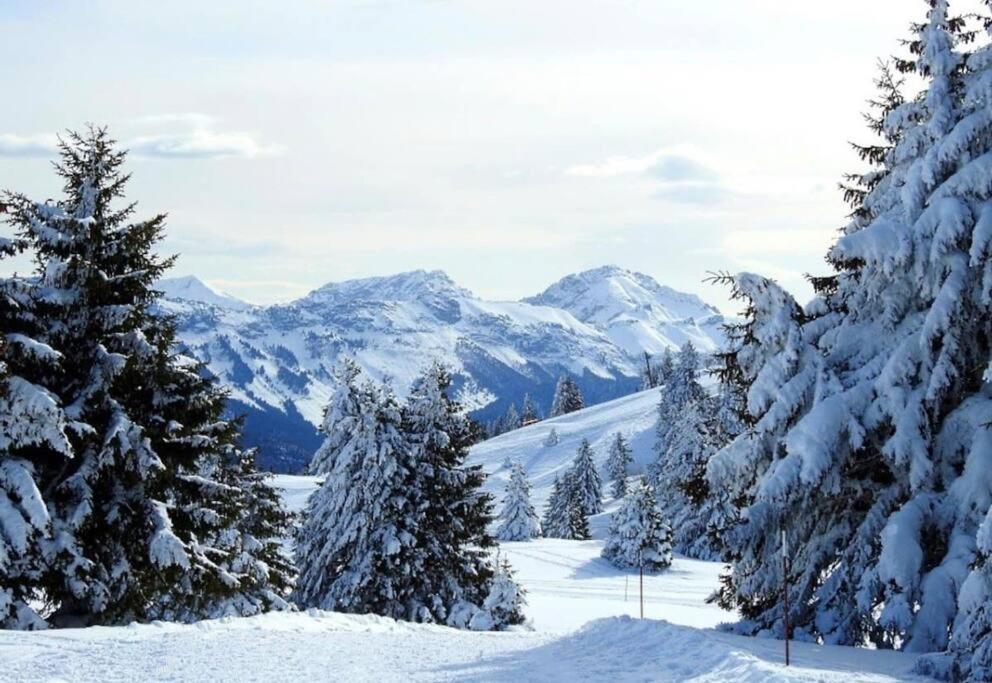 Appartement T2 Vue Panoramique Sur Annecy Seynod Kültér fotó